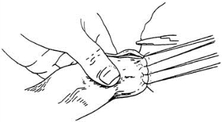 pagenumber_ebook=99,pagenumber_book=84