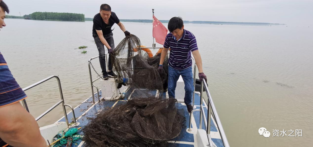 3 3.png?v=1765946390245