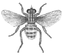 pagenumber_ebook=127,pagenumber_book=111