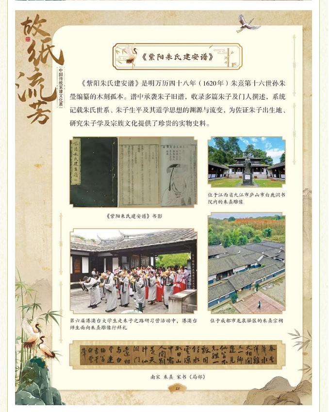 image.png?v=1775271545637