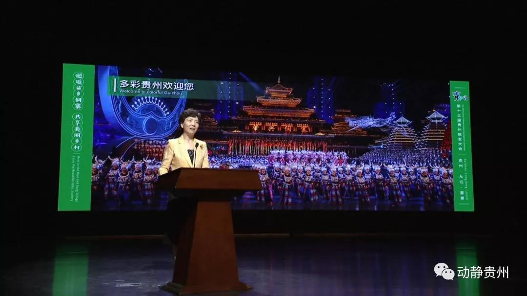 15 15.jpg?v=1762383164290