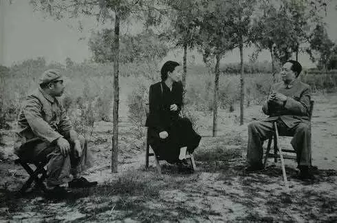 20171105204918_3jpr25bpxs 20171105204918_3jpr25bpxs.png?v=1773785827374