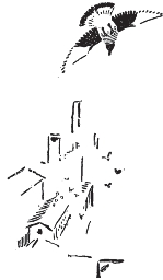 pagenumber_ebook=87,pagenumber_book=79