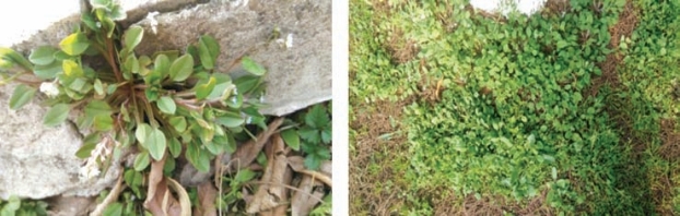 pagenumber_ebook=152,pagenumber_book=144