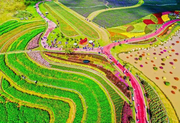 s_a56695ef6de44441ab9c6f5a02d060c6 s_a56695ef6de44441ab9c6f5a02d060c6.jpg