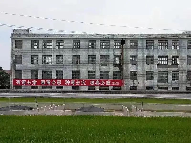 4.jpg?v=1748580851897