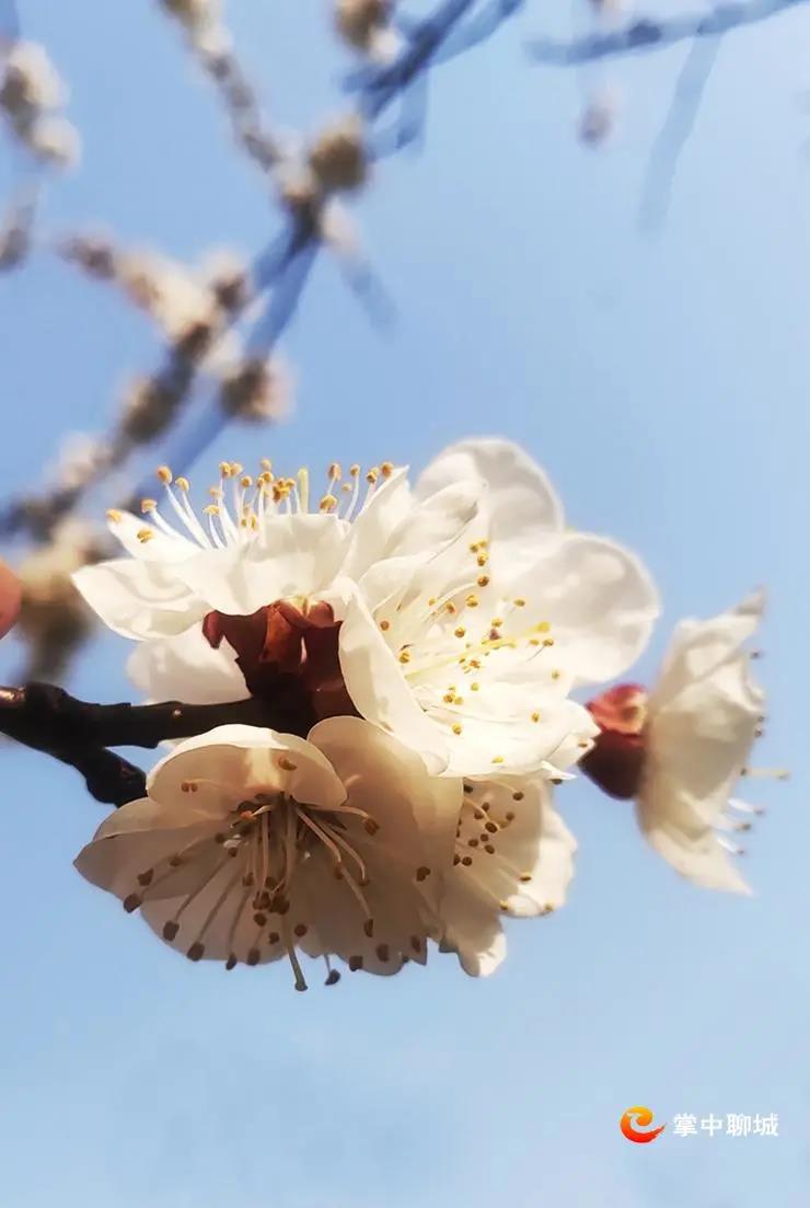 微信图片_20210308084915 微信图片_20210308084915.jpg