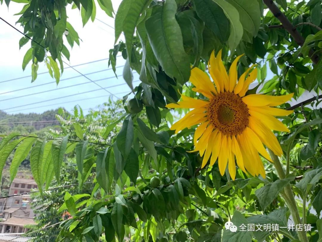 微信图片_20210624085526