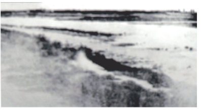 pagenumber_ebook=61,pagenumber_book=46