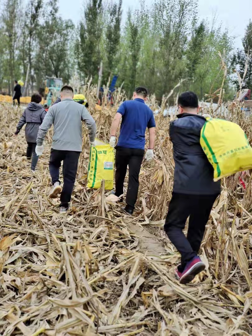 4be439929fd32611a4b31dcda396cbd 4be439929fd32611a4b31dcda396cbd.jpg