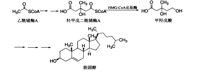 pagenumber_ebook=223,pagenumber_book=205