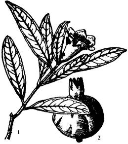 pagenumber_ebook=165,pagenumber_book=165