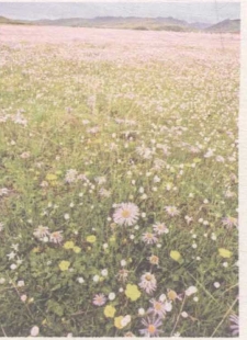 pagenumber_ebook=149,pagenumber_book=135