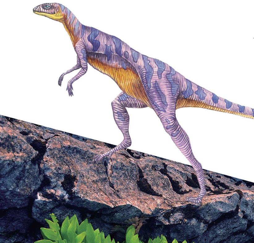 pagenumber_ebook=73,pagenumber_book=62