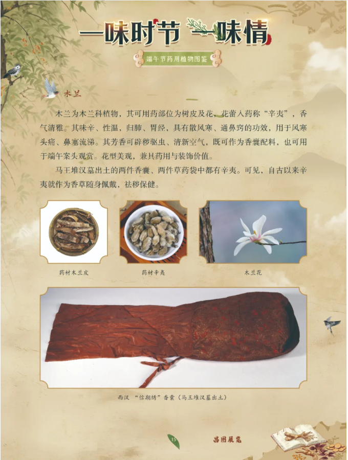 image.png?v=1782174181266