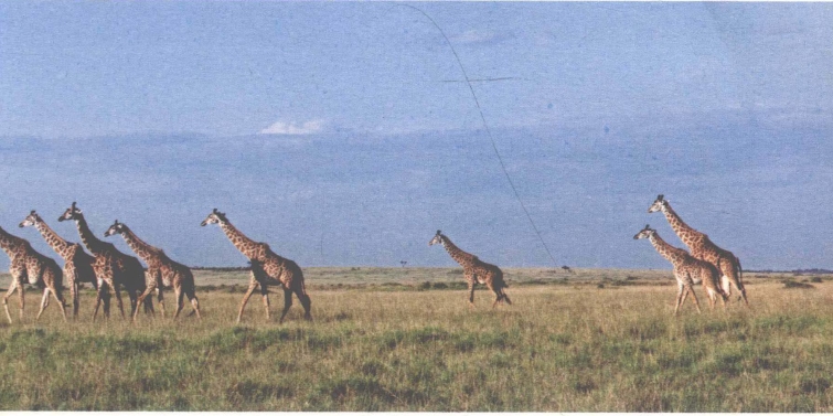 pagenumber_ebook=27,pagenumber_book=19