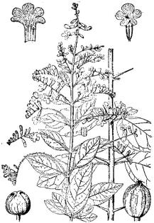 pagenumber_ebook=172,pagenumber_book=172