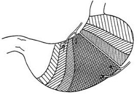 pagenumber_ebook=322,pagenumber_book=307