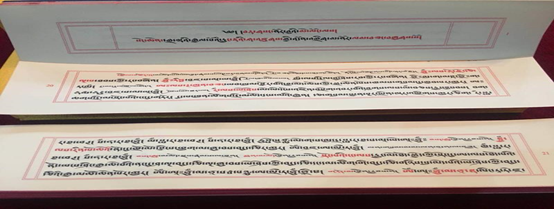 image image.png?v=1763273846575