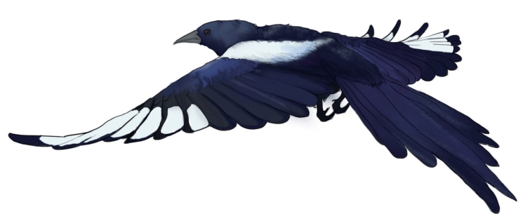 pagenumber_ebook=129,pagenumber_book=118