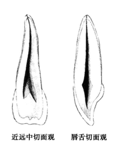 pagenumber_ebook=48,pagenumber_book=39