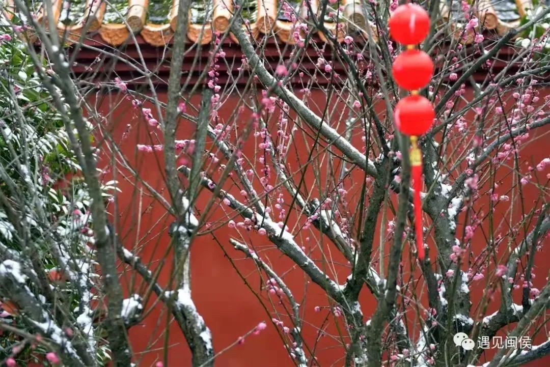 微信图片_20220225091812 微信图片_20220225091812.jpg