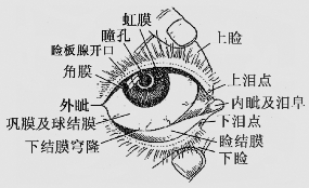 pagenumber_ebook=39,pagenumber_book=26