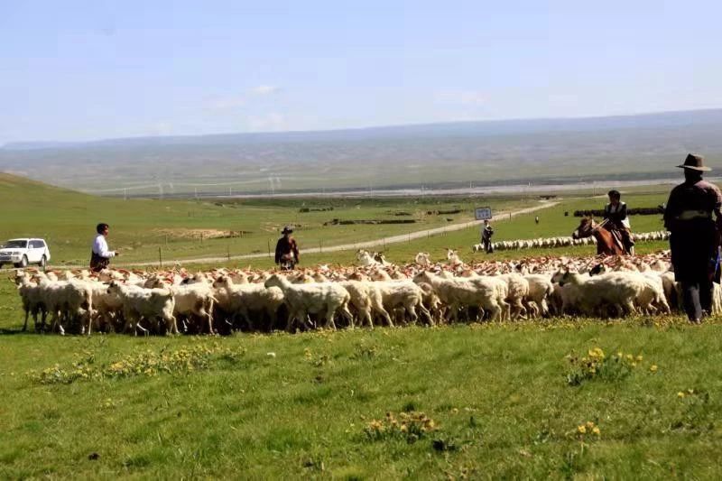 10 10.jpg?v=1765701187538