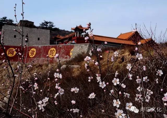 微信图片_20230329163219