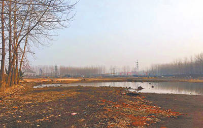 20170524172919_m9dtbmi4yn 20170524172919_m9dtbmi4yn.jpg?v=1770968547925