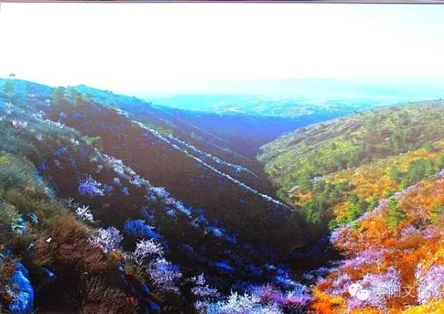 微信图片_20230329163209