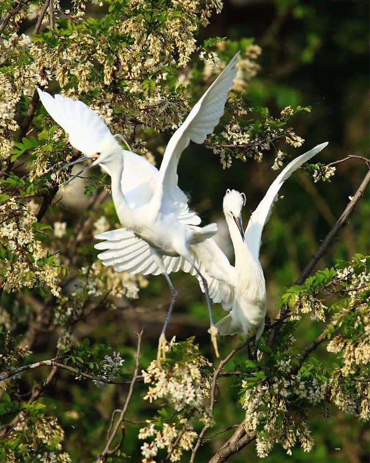 微信图片_20210506095006