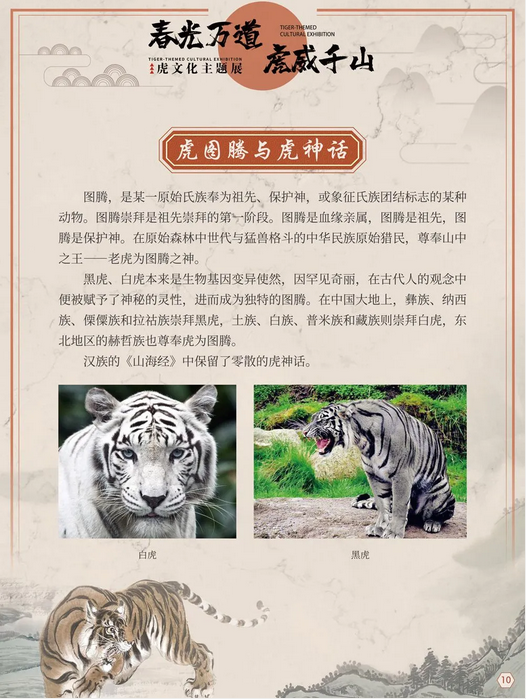 图片.png?v=1750142505724