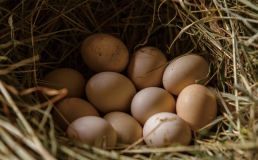 pagenumber_ebook=122,pagenumber_book=110