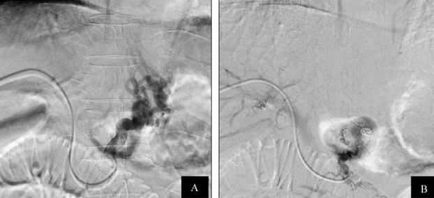 pagenumber_ebook=281,pagenumber_book=266