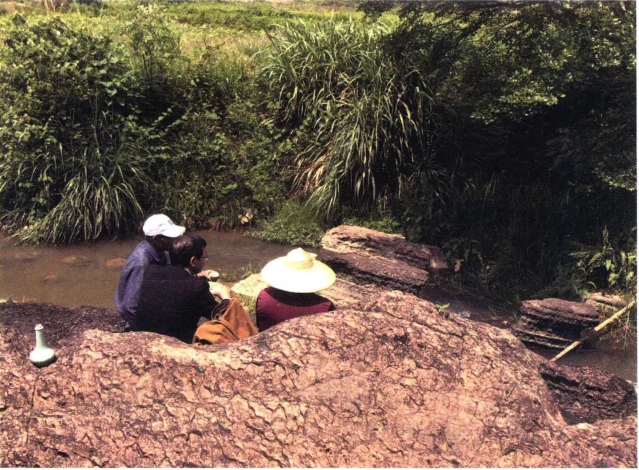 pagenumber_ebook=227,pagenumber_book=220