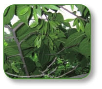 pagenumber_ebook=269,pagenumber_book=256