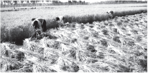 pagenumber_ebook=193,pagenumber_book=181