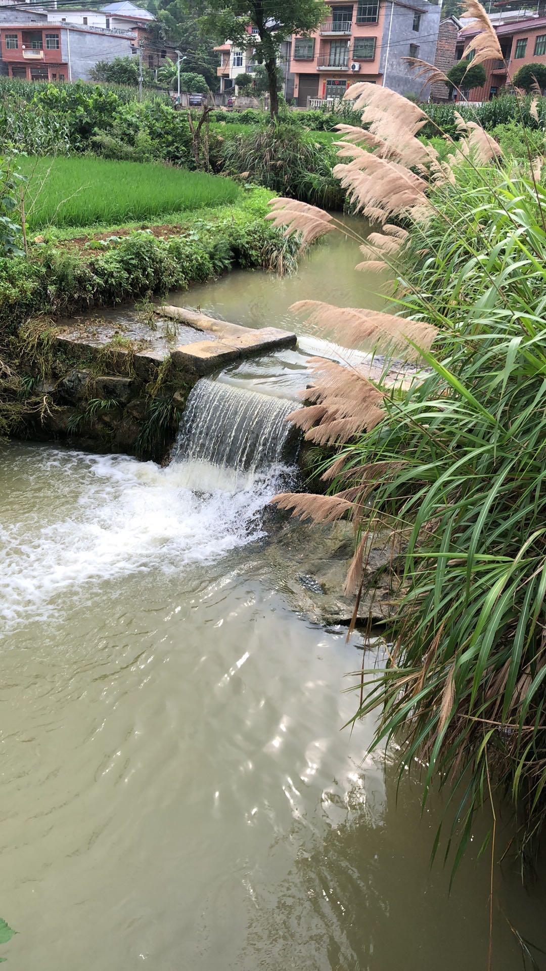 wps_doc_1 wps_doc_1.jpeg