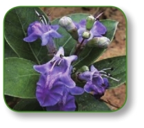 pagenumber_ebook=32,pagenumber_book=19