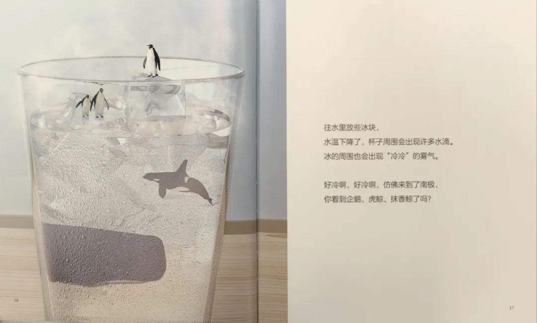 640 (1) 640 (1).jpg?v=1774484721040