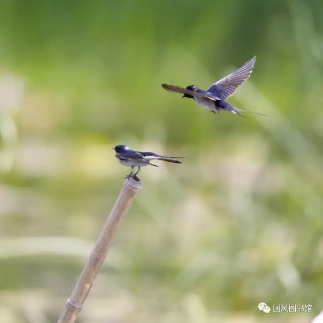 20170519165611_s689yiqh2e 20170519165611_s689yiqh2e.png?v=1773798795488