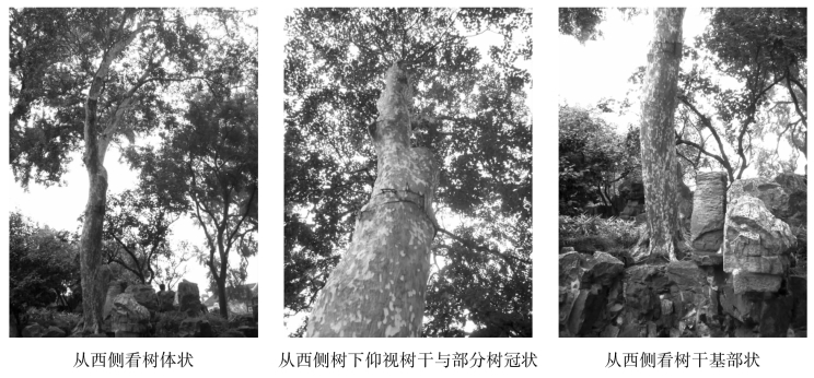 pagenumber_ebook=106,pagenumber_book=106