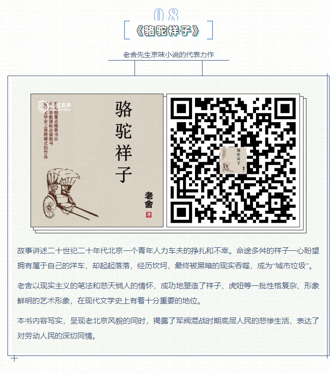 image.png?v=1751557489311