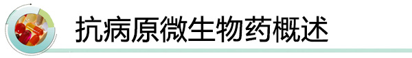抗病原微生物药概述.jpg