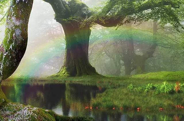 5 5.jpg?v=1762323976584