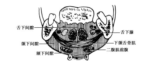 pagenumber_ebook=119,pagenumber_book=110