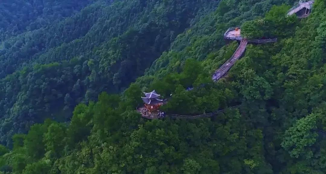 微信图片_20200505112013 微信图片_20200505112013.jpg