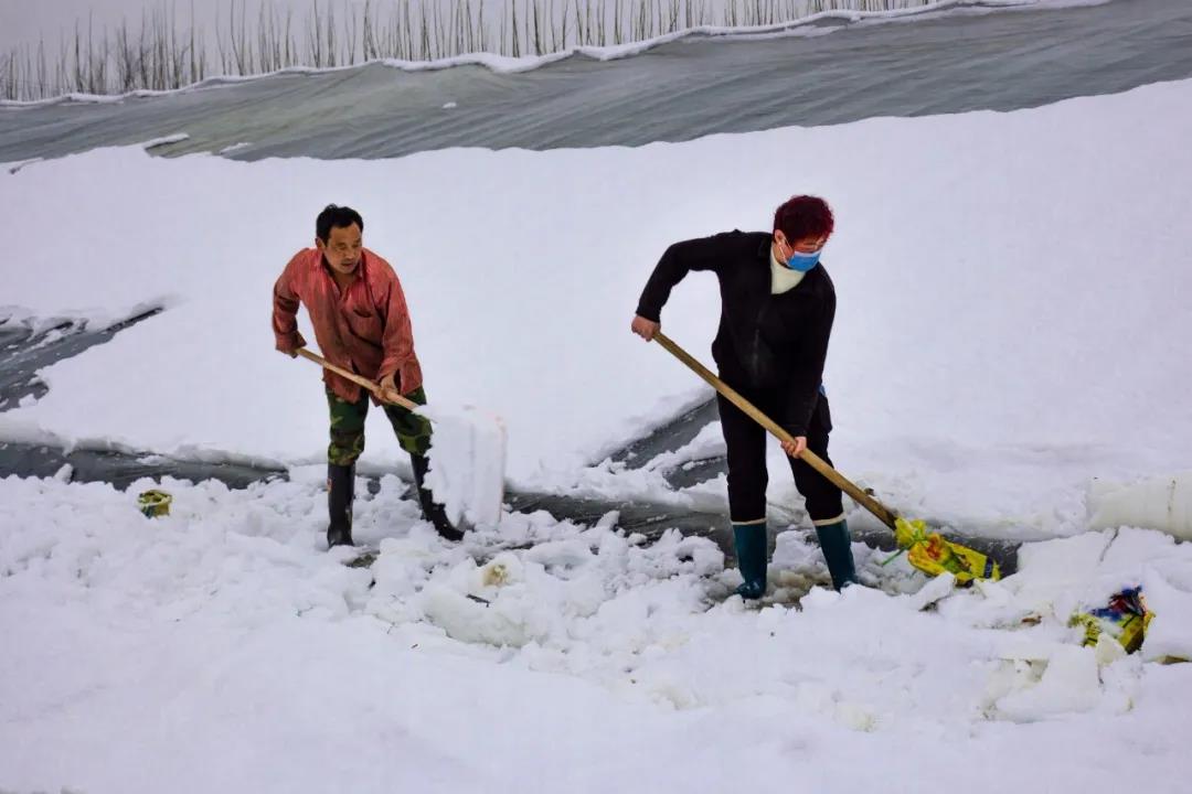 微信图片_20210301084917 微信图片_20210301084917.jpg