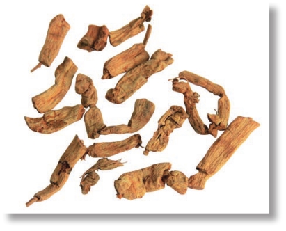 pagenumber_ebook=262,pagenumber_book=249